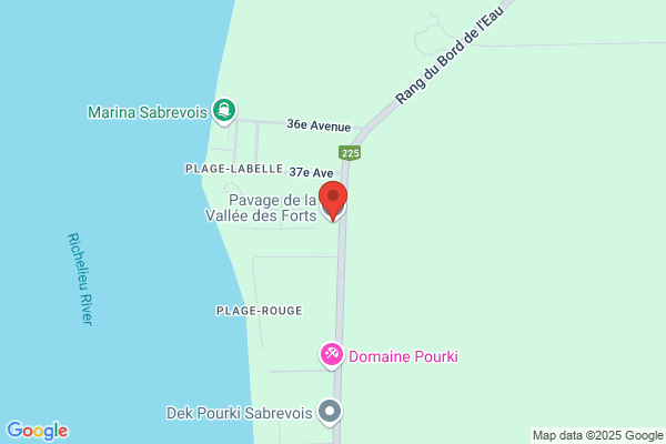 Pavage des Forts