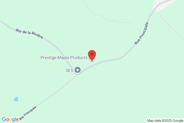 Plâtrier Prestige Inc