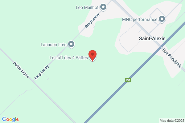 Le Loft des 4 Pattes