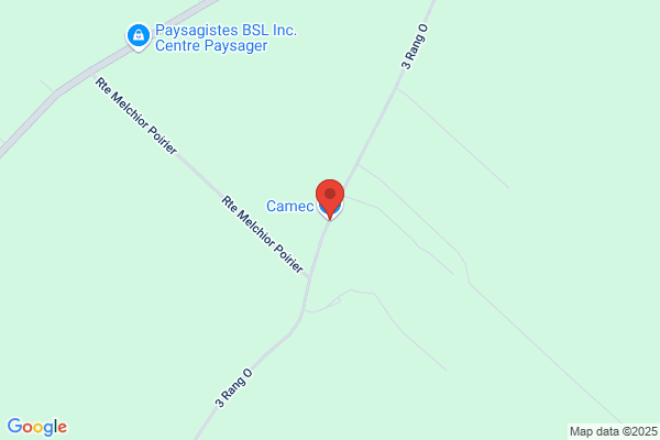 Camec Inc