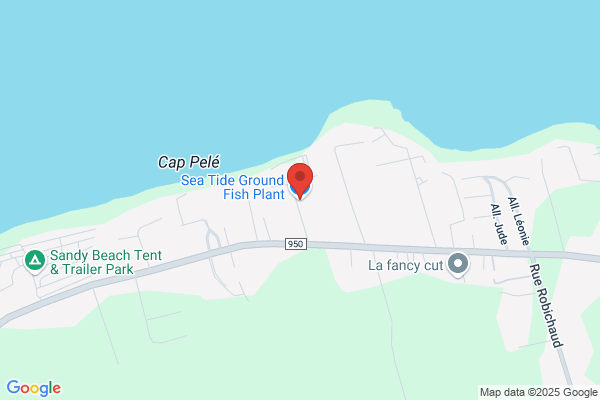 Sea Tide Ground Fish Plant
