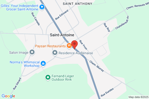 St Antoine Auto Garage Ltd