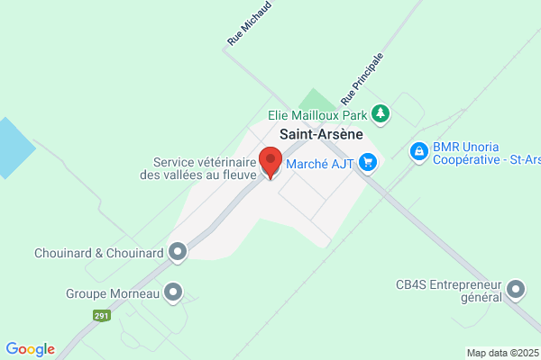 Clinique Vétérinaire St-Arsène (2010)inc