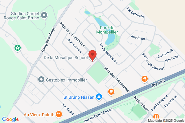 Commission Scolaire Des Patriotes, Ecoles Primaires, Saint-Basile-Le-Grand, De La Mosaique