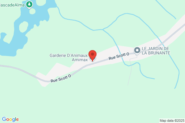 Garderie D'Animaux Amimax
