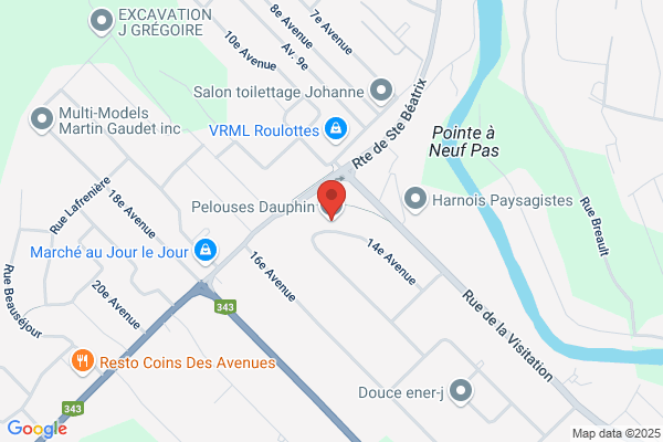 Pelouses Dauphin