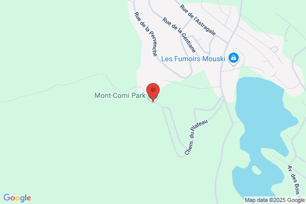 Parc du Mont-Comi