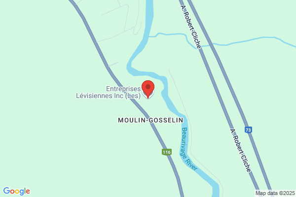Levisiennes