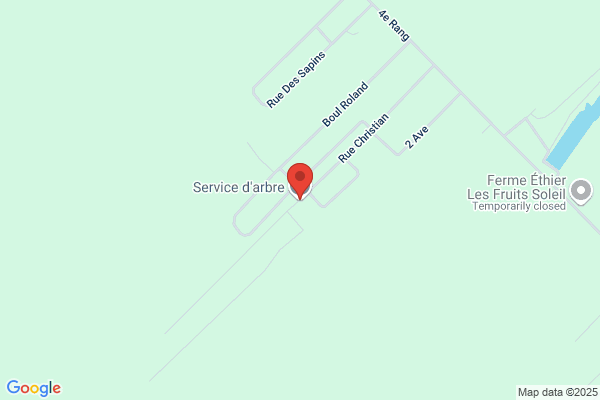 Service D'arbres St-Laurent Inc