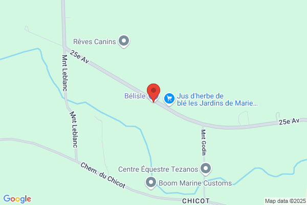 Belisle & Belisle Petroles Inc