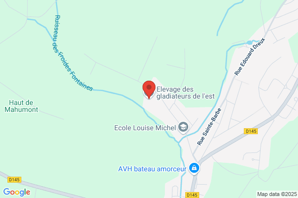 Gladiateurs De St-Eustache (Les)