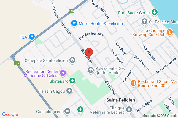 Csn-Confederation Des Syndicats Nationaux, Syndicat Des Enseignants Du College De Saint-Felici