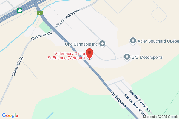 Groupe Vétérinaire Vetcom Inc