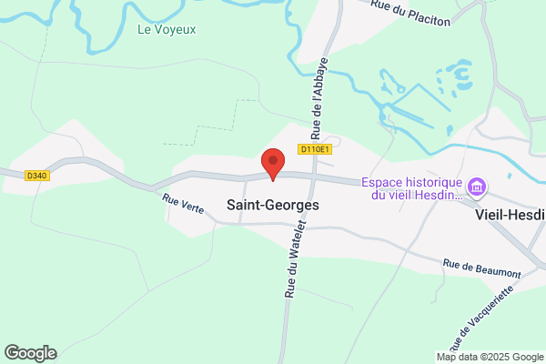 Clinique Veterinaire De St-Georges Enr