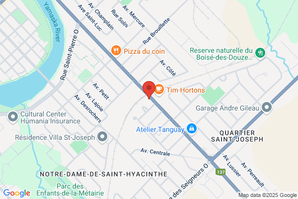 Coupe Du Monde