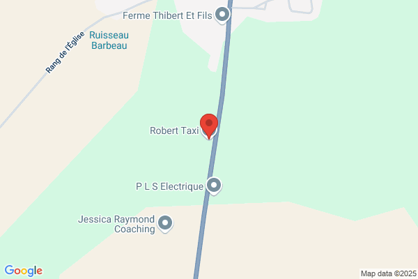 Robert Taxi