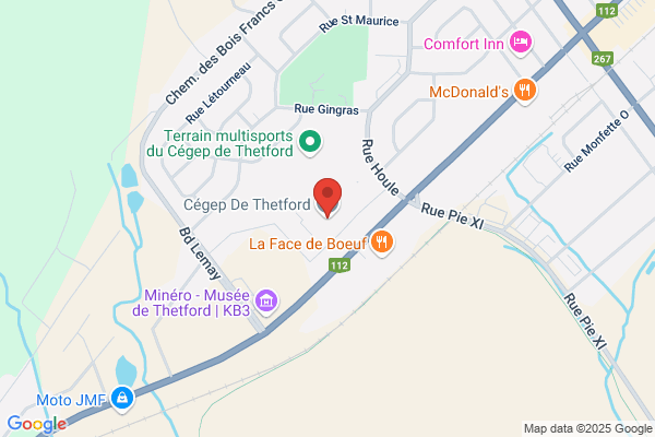 Cégep de Thetford