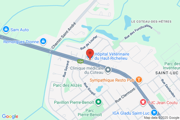Hopital Veterinaire Du Haut-Richelieu, Gamache Mario Dr Veterinaire