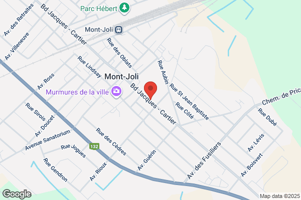 Maison Des Jeunes De Mont-Joli Inc