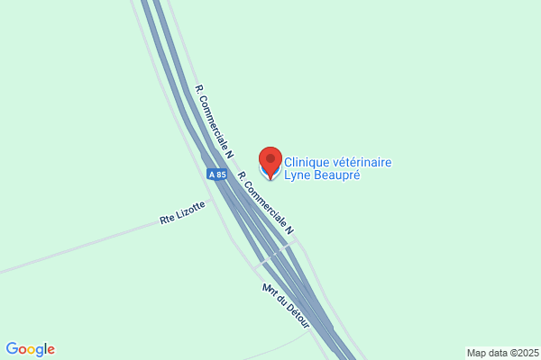Clinique Vétérinaire Dre Lyne Beaupré