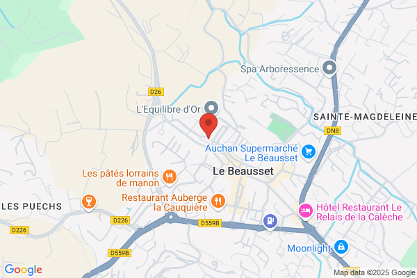 Duplessis Electrique Inc