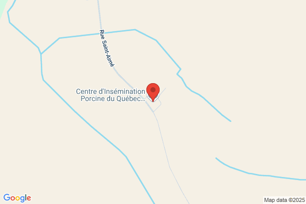 P P I Quebec Inc