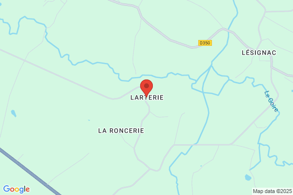 L'arterie Inc