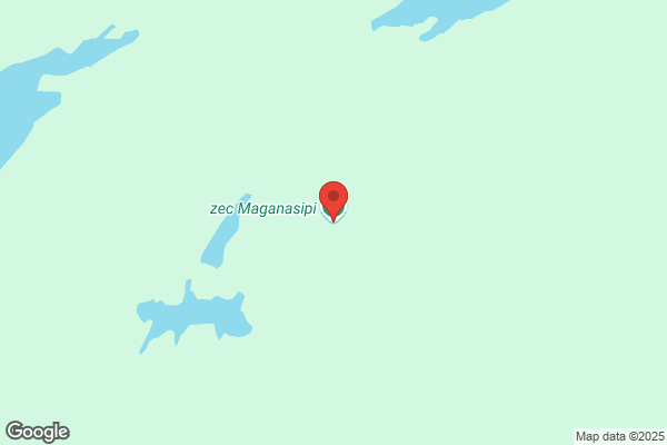 Zec Maganasipi