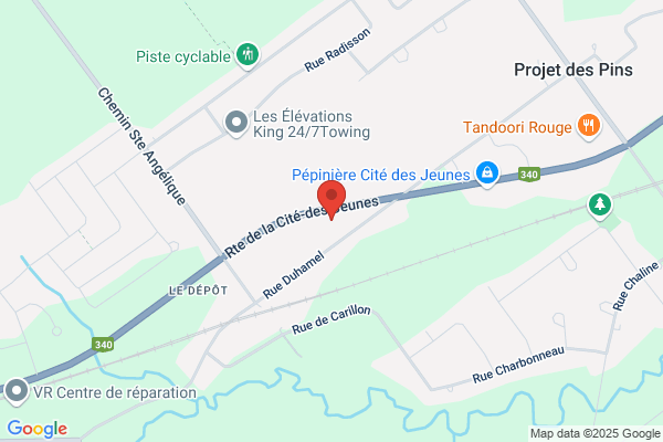 Michelectrique