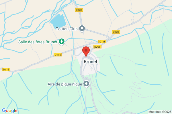 Brunet