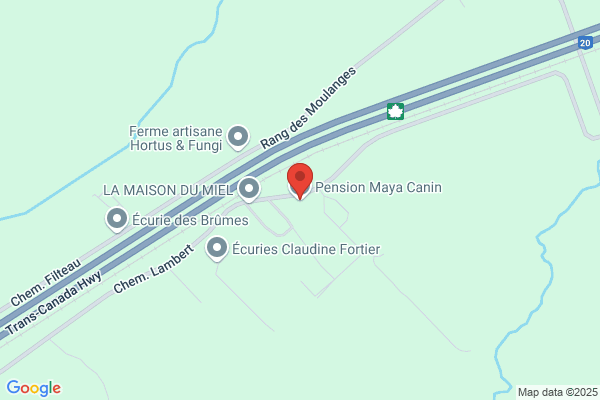 Pension Maya Canin