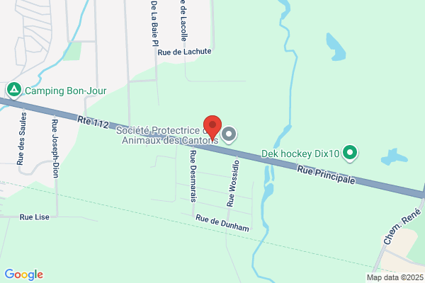 Clinique Vétérinaire Principale