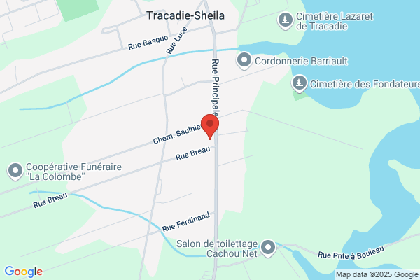 NAPA Auto Parts - NAPA Tracadie-Sheila