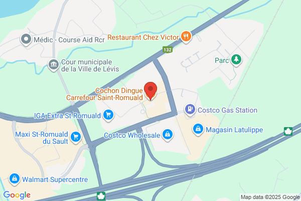 Cochon Dingue (Le)