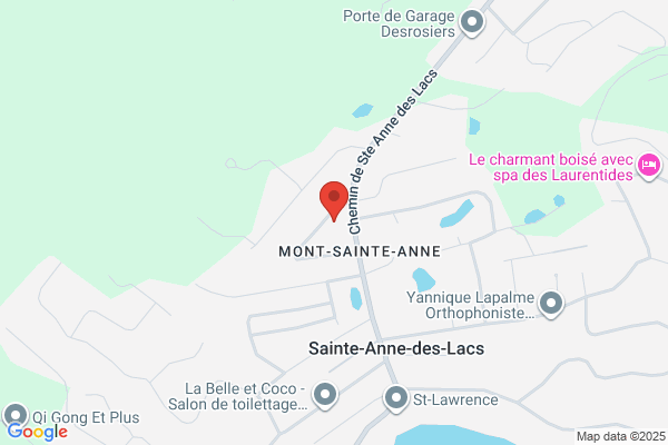 Les Entreprises P L G Lauzon Inc