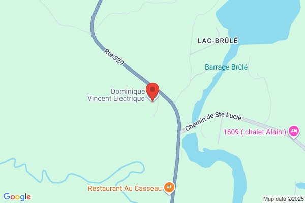 Dominique Vincent Electrique