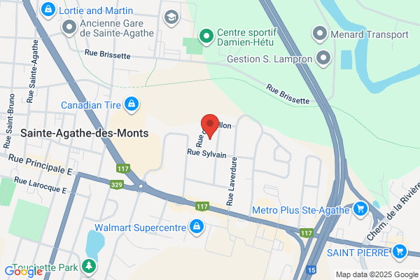 Mlle Nettoie-Tout Inc