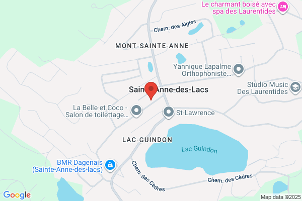 Abattage RL - Émondage, Dessouchage et Déboisement