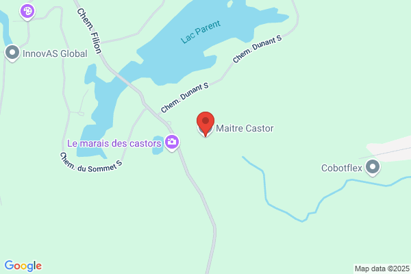 Maitre Castor - Élagage, Abattage, Essouchage - Sainte-Anne-des-Lacs
