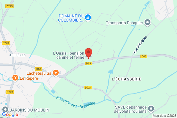 Chenil L'Oasis Canin