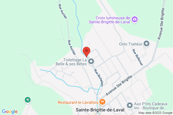 Toitures de la Capitale Inc
