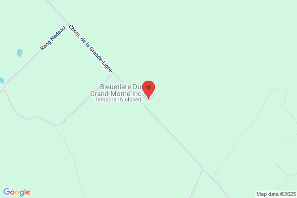 Bleuetière du Grand-Morne Inc