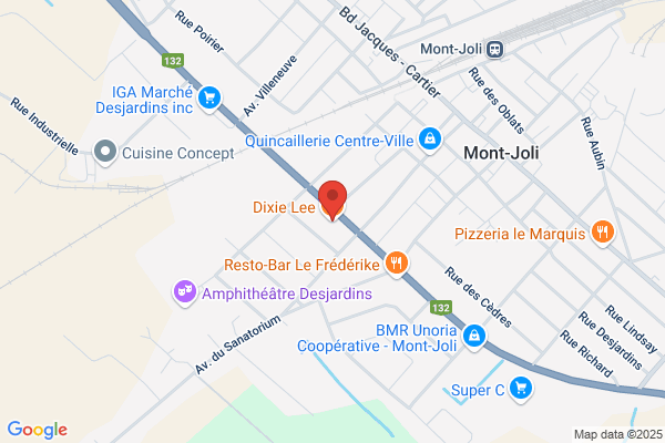 Dixie Lee Poulet Frit