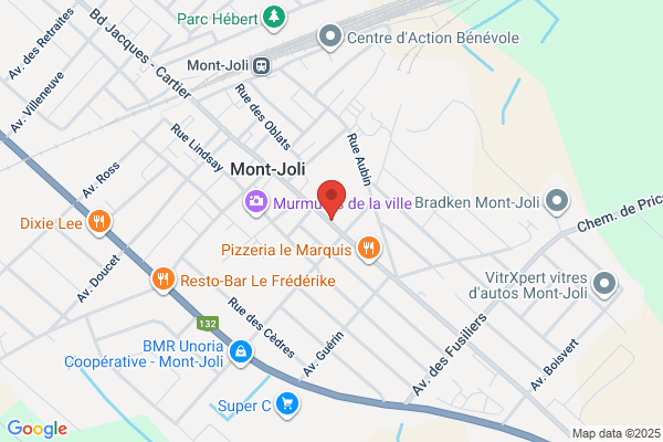 Maison Des Jeunes De Mont-Joli Inc