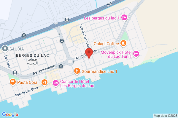 Voyages Phenicia Lahoude