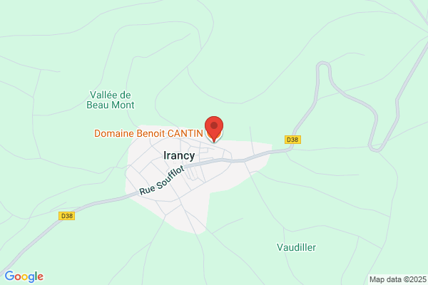 Michel Cantin Récupération