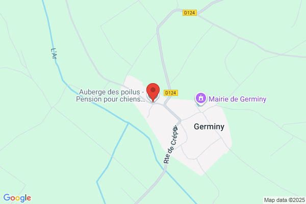 Auberge Pour Chiens Et Chats Damolou