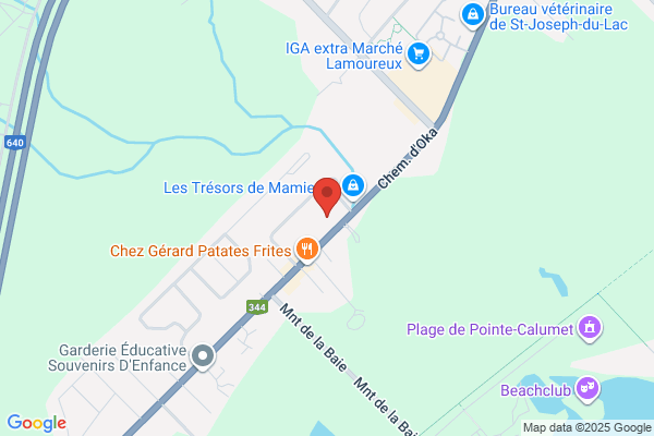 Clinique Dentaire Saint Joseph Du Lac Inc