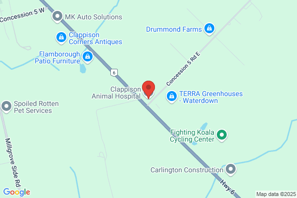 Clappison Animal Hospital