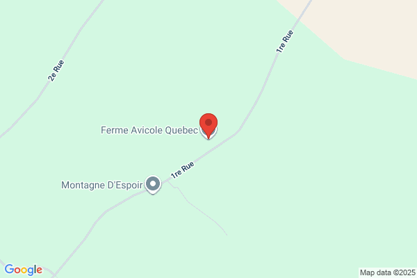 Ferme De Volailles W Z Ltee